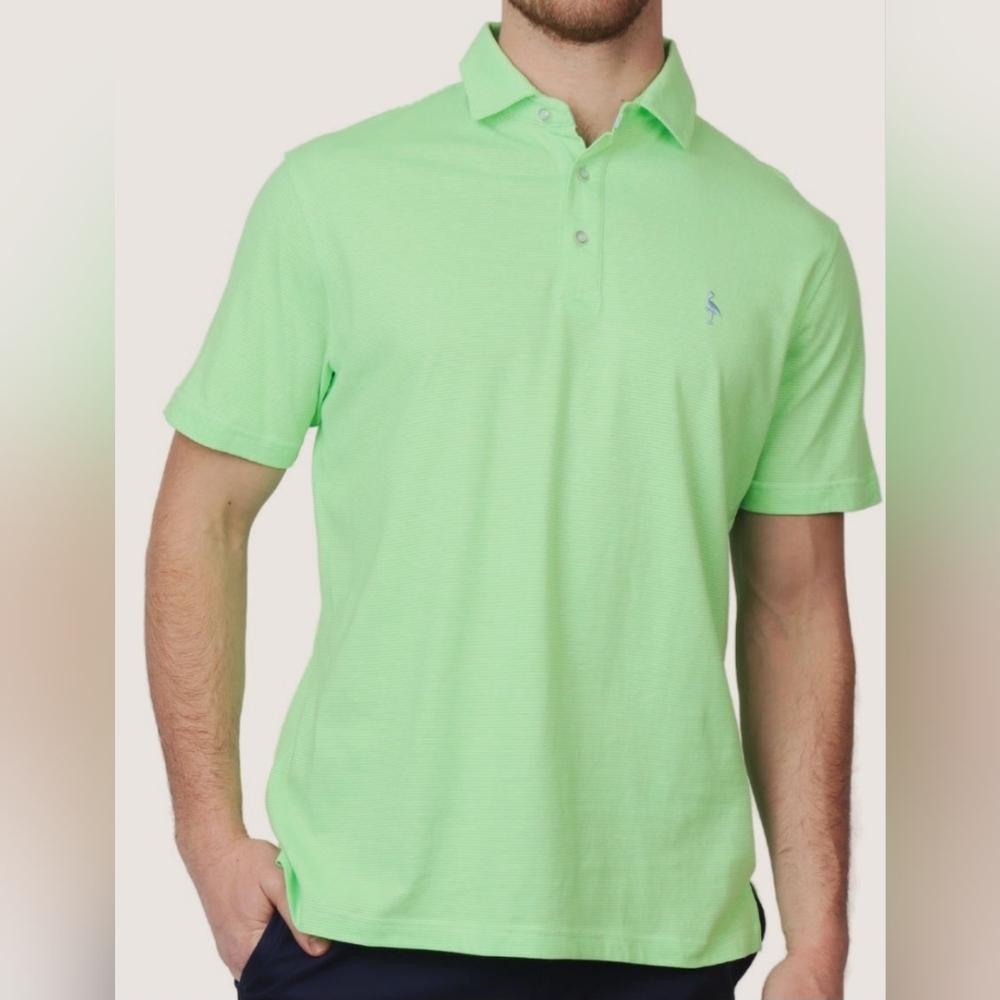 Tailorbyrd Green Thin Striped Polo Shirt